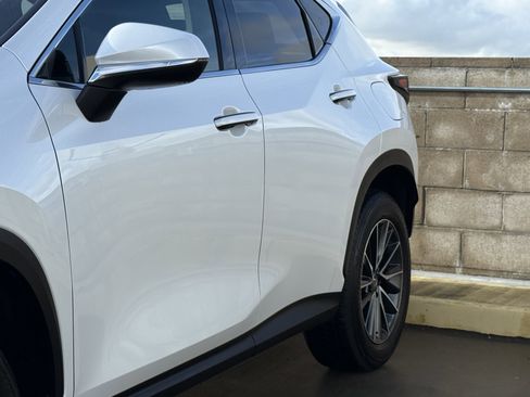 Certified 2025 Lexus NX 250 250 Premium image 8