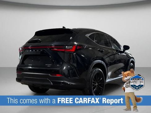 Certified 2025 Lexus NX 350 AWD w/ Cold Area Package image 4