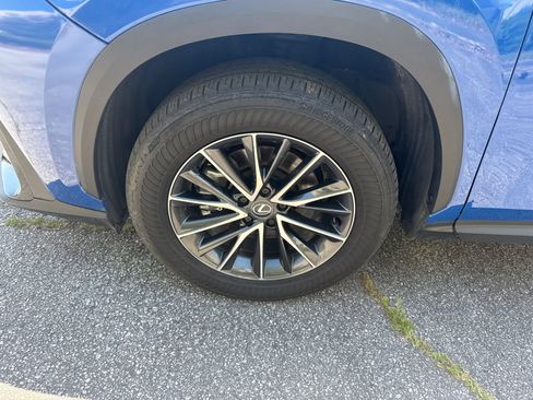 Used 2024 Lexus NX 250 FWD w/ Cold Area Package image 11
