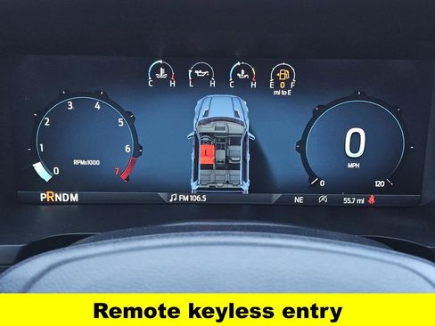 New 2025 Ford F150 STX w/ Equipment Group 200A image 19