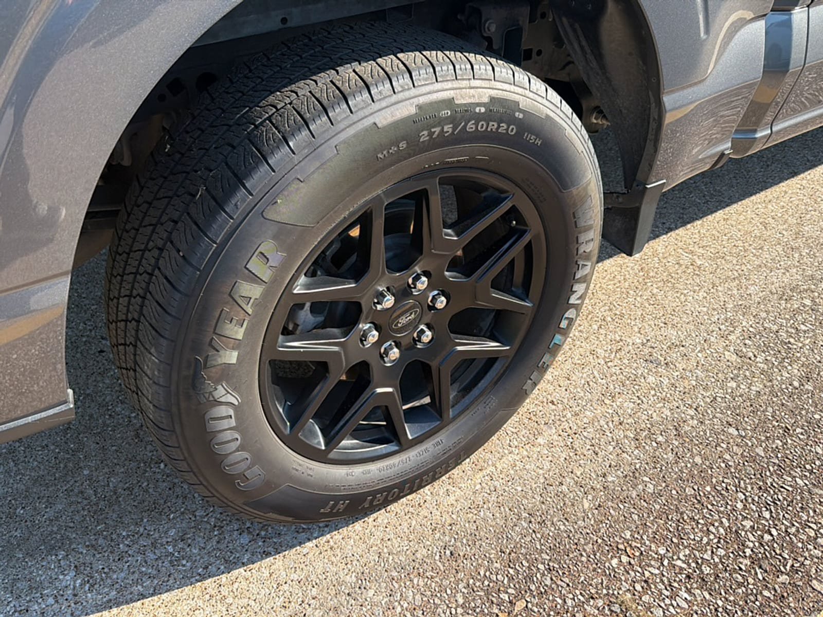 Used 2024 Ford F150 STX w/ STX Black Appearance Package RWD image 10