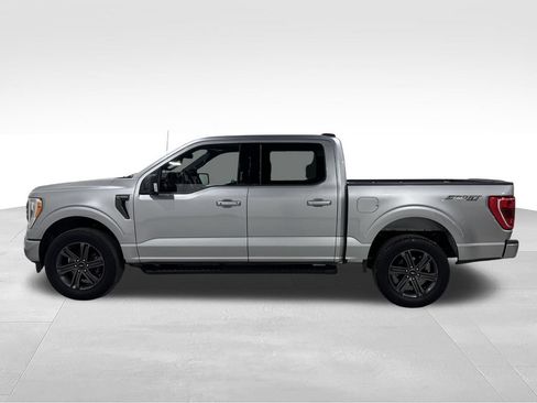 Used 2023 Ford F150 XLT w/ Equipment Group 302A High AWD/4WD image 14