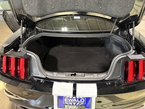 Used 2017 Ford Mustang Shelby GT350 image 16