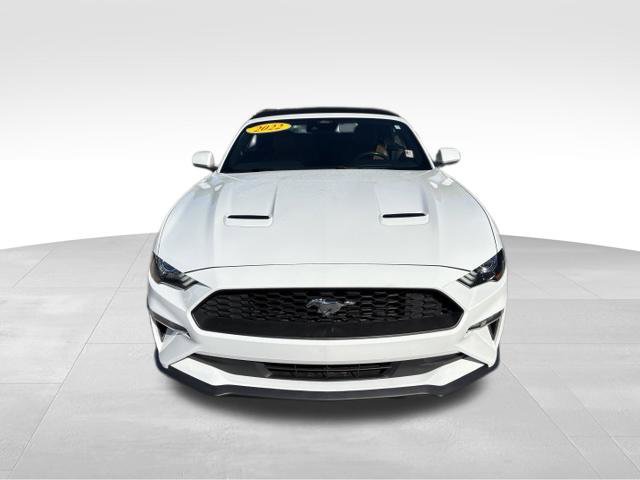 Used 2022 Ford Mustang Premium RWD image 7