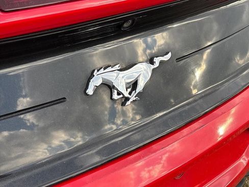 Used 2019 Ford Mustang Premium image 20