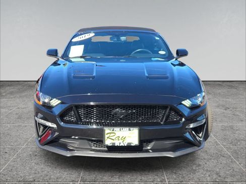 Used 2019 Ford Mustang GT Premium w/ Equipment Group 401A RWD image 2