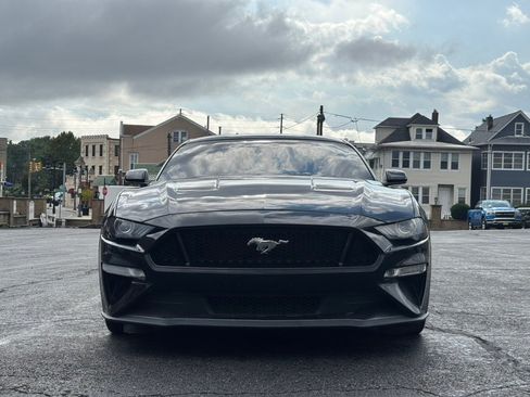 Used 2019 Ford Mustang GT w/ Equipment Group 301A RWD image 2
