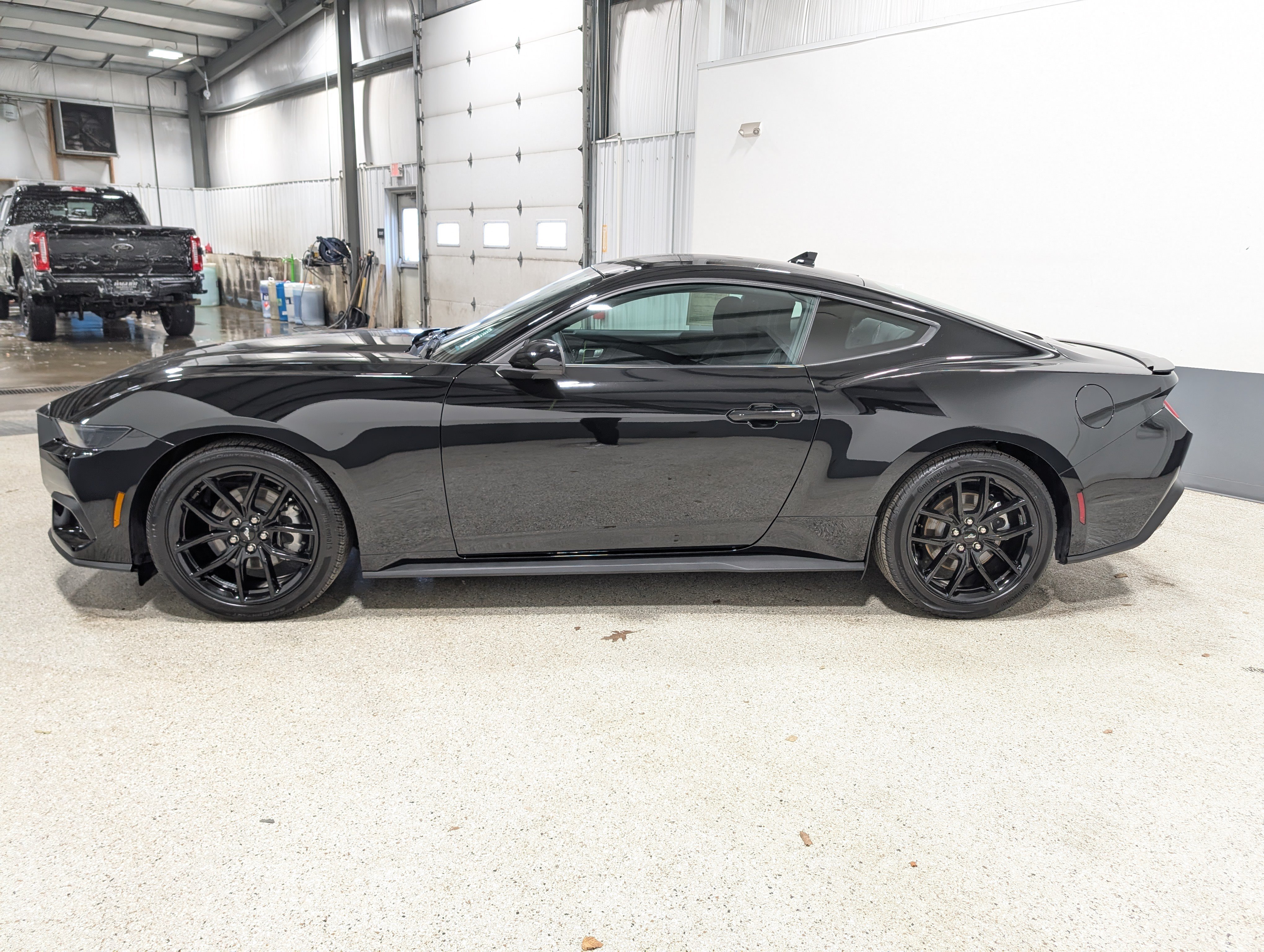 Used 2026 Ford Mustang Coupe w/ Mustang Nite Pony Package RWD image 6