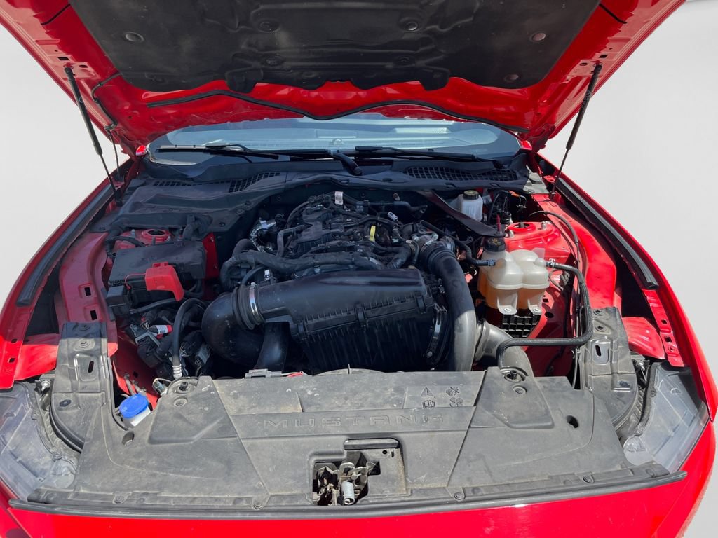 Used 2024 Ford Mustang Premium RWD image 21