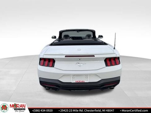Used 2024 Ford Mustang Premium image 4