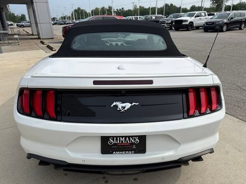 Used 2020 Ford Mustang Premium RWD image 6