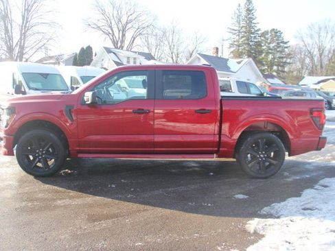 New 2025 Ford F150 STX w/ LOBO Package image 5