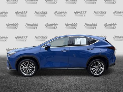 Certified 2025 Lexus NX 350 AWD w/ Cold Area Package image 7