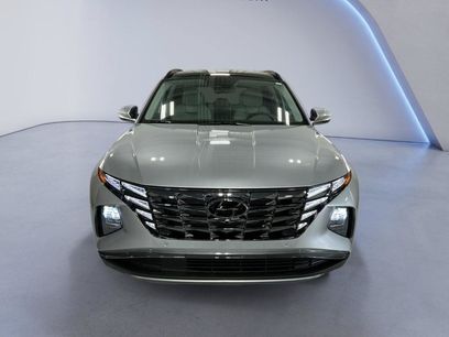 Certified 2024 Hyundai Tucson Limited