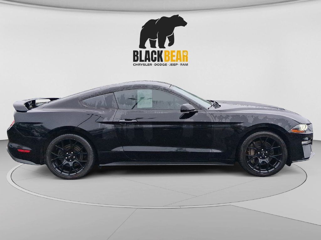 Used 2018 Ford Mustang Coupe w/ Ecoboost Performance Package RWD image 2