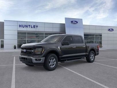 New 2025 Ford F150 XLT w/ Equipment Group 301A Standard