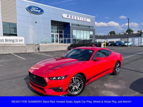 Used 2024 Ford Mustang Coupe RWD image 1