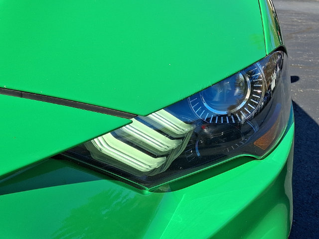 Used 2019 Ford Mustang GT RWD image 10
