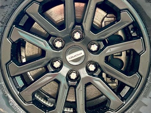 Used 2025 Ford F150 Raptor image 15