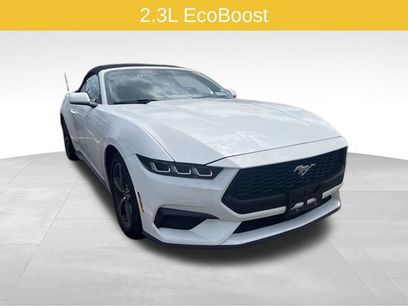 Used 2024 Ford Mustang Premium