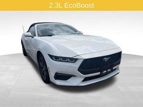 Used 2024 Ford Mustang Premium RWD image 1