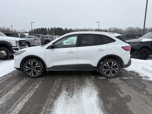 Used 2022 Ford Escape SE w/ SE Sport Appearance Package image 9