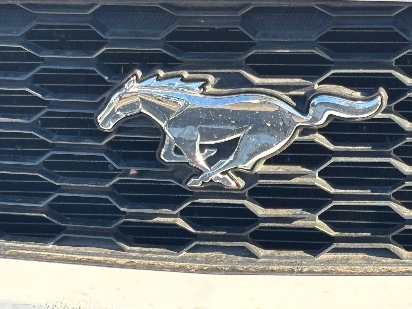 Used 2017 Ford Mustang Premium w/ Equipment Group 201A RWD image 9