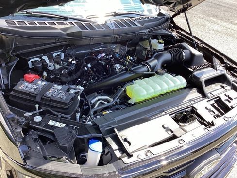 New 2025 Ford F150 XLT w/ Equipment Group 302A MID image 18