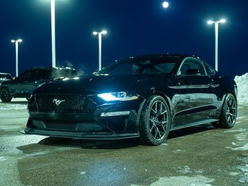 Used 2019 Ford Mustang GT Premium w/ Performance Package - Level 2 image 3