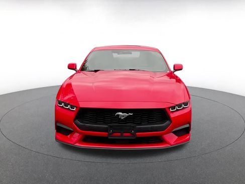 Used 2024 Ford Mustang Premium image 7