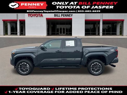 Used 2024 Toyota Tacoma TRD Sport RWD image 2