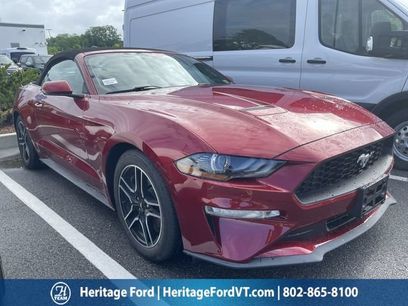 Used 2019 Ford Mustang Premium