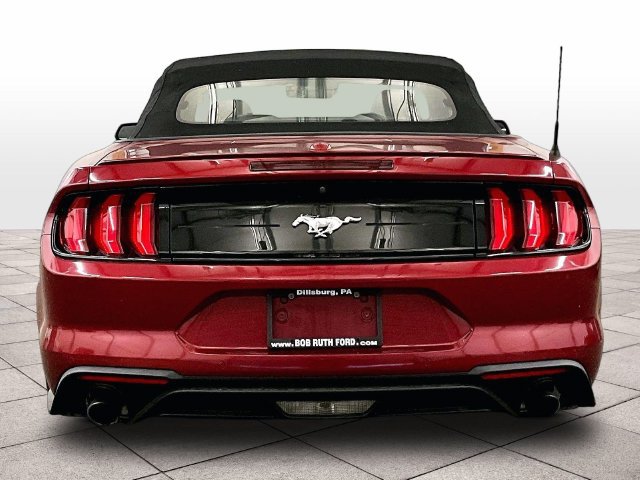 Used 2019 Ford Mustang Premium w/ Equipment Group 201A RWD image 4