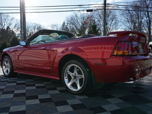 Used 2001 Ford Mustang Cobra image 10