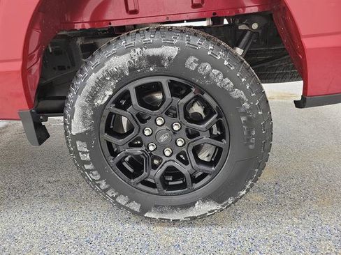 Used 2024 Ford F150 XLT w/ Equipment Group 302A MID image 5