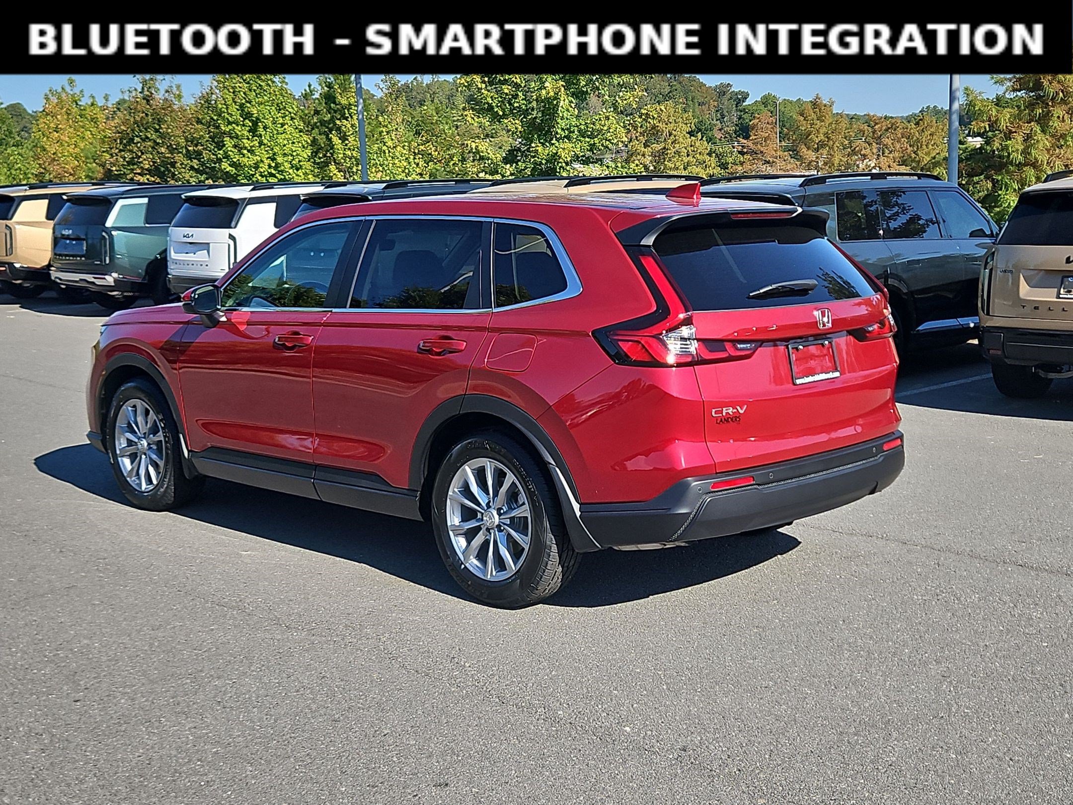 Used 2025 Honda CR-V EX-L image 5