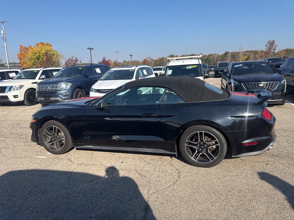 Used 2018 Ford Mustang Premium w/ Equipment Group 201A RWD image 8