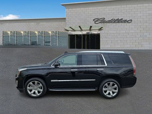 Used 2019 Cadillac Escalade Luxury image 7