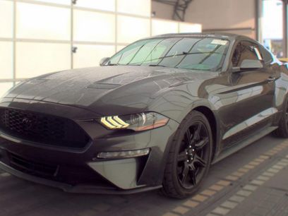 Used 2019 Ford Mustang Coupe w/ Equipment Group 101A