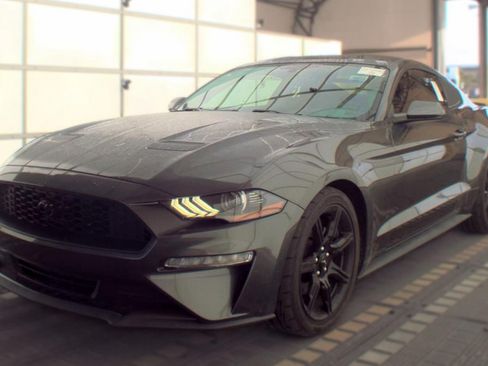 Used 2019 Ford Mustang Coupe w/ Equipment Group 101A RWD image 1