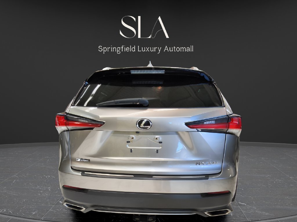 Used 2019 Lexus NX 300 F Sport AWD/4WD image 6