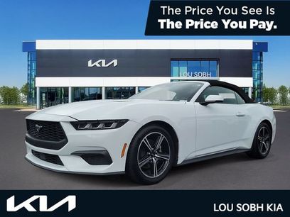 Used 2024 Ford Mustang Premium