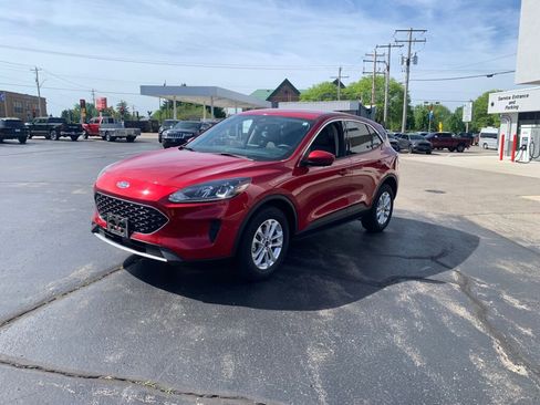 Used 2020 Ford Escape SE AWD/4WD image 3