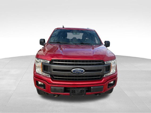 Used 2020 Ford F150 XLT w/ Equipment Group 302A Luxury AWD/4WD image 4