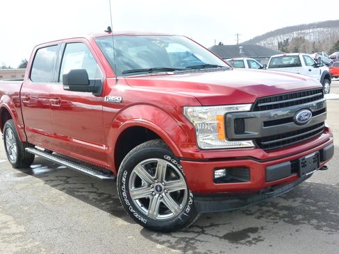 Used 2019 Ford F150 XLT w/ Equipment Group 302A Luxury image 1