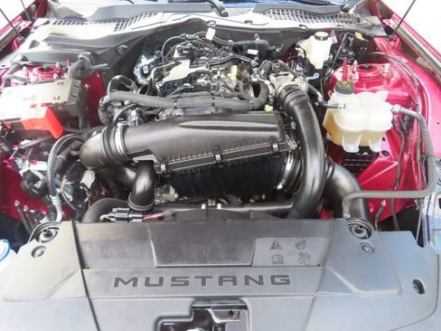 Used 2025 Ford Mustang Premium RWD image 12