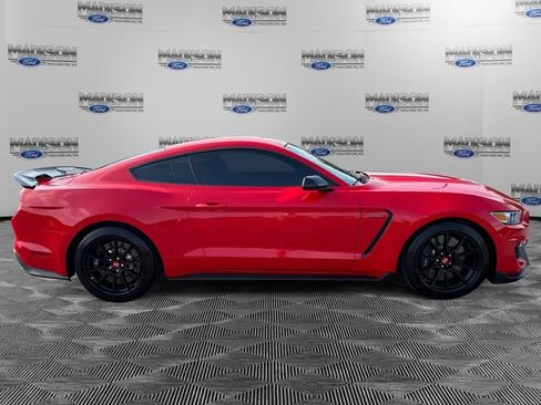 Used 2019 Ford Mustang Shelby GT350 RWD image 6