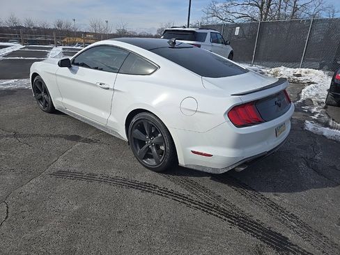 Used 2021 Ford Mustang Coupe w/ Equipment Group 101A image 5