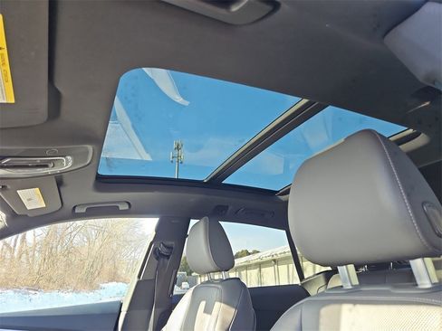 Used 2019 Audi Q8 Premium Plus w/ Premium Plus image 16