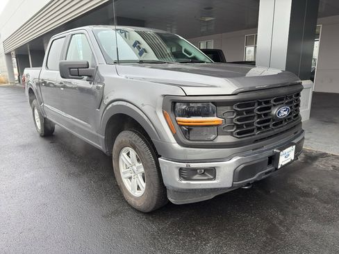 New 2025 Ford F150 XL w/ Equipment Group 103A High AWD/4WD image 1